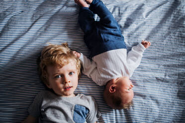 A top view of small toddler boy with a newborn baby brother at home, lying down on bed. - HPIF24335