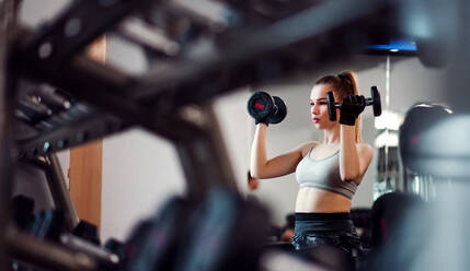 A young girl or woman with dumbbells, doing workout in a gym. - HPIF24370