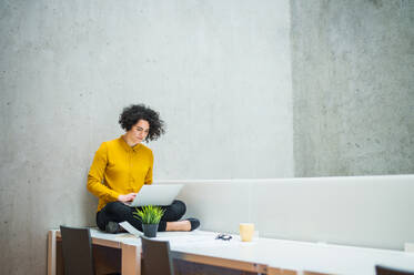 A portrait of a young student or businesswoman sitting on desk in room in a library or office, using laptop. - HPIF24506