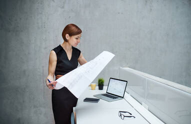 Eine junge Geschäftsfrau oder Architektin mit Bauplänen und Laptop, die am Schreibtisch im Büro steht. - HPIF24523