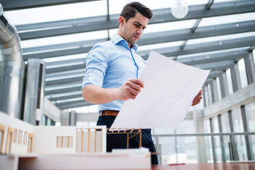 Young businessman or architect with model of a house standing at the desk in office, looking at blueprints when working. - HPIF24564