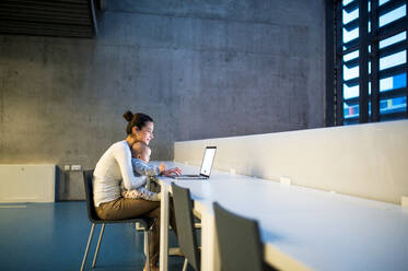 Eine Seitenansicht einer jungen Studentin, Mutter oder Geschäftsfrau, die mit einem Baby in einem Raum in einer Bibliothek oder einem Büro am Schreibtisch sitzt und einen Laptop benutzt. - HPIF24619
