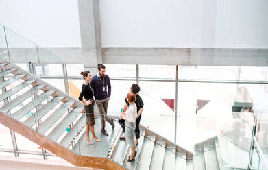 A group of young businesspeople standing on a staircase, talking. - HPIF24663