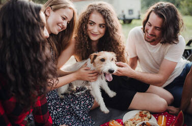 A close-up of group of young friends with a dog sitting in countryside. - HPIF24759