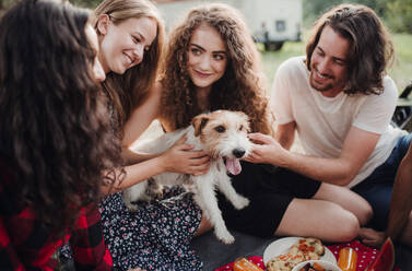 Eine Nahaufnahme einer Gruppe junger Freunde mit einem Hund, die in der Natur sitzen. - HPIF24759