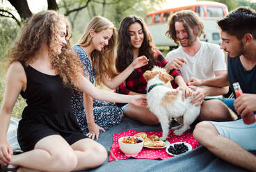 Eine Gruppe junger, fröhlicher Freunde mit einem Hund beim Picknick auf einem Roadtrip durch die Landschaft. - HPIF24760