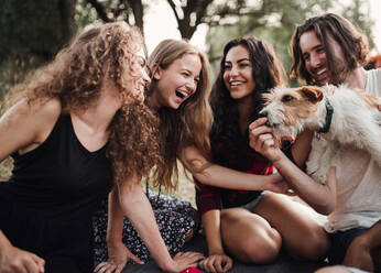 Eine Gruppe junger Freunde mit einem Hund sitzt im Gras vor einem Retro-Minivan auf einem Roadtrip durch die Landschaft. - HPIF24761