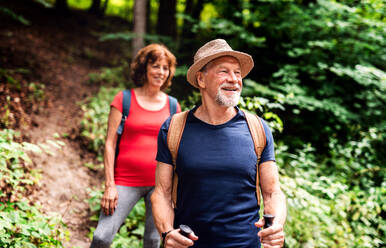 Ein älteres Touristenpaar mit Rucksäcken bei einem Spaziergang im Wald in der Natur. - HPIF24882