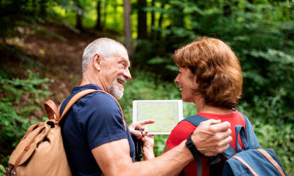 Ein älteres Touristenpaar mit Rucksäcken auf einem Spaziergang im Wald in der Natur, mit Karte auf Tablet. - HPIF24886