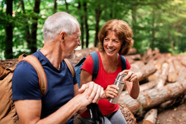 Älteres Touristenpaar mit Stahlflasche bei einem Spaziergang im Wald in der Natur, sitzend. - HPIF24887