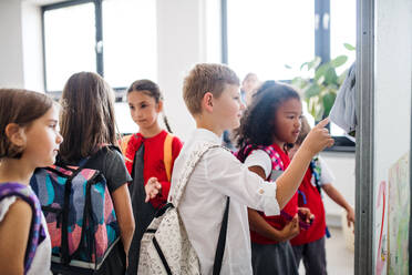 Eine Gruppe von fröhlichen kleinen Schulkindern mit Rucksäcken, die im Korridor stehen und auf ein schwarzes Brett schauen - ein Konzept für den Schulanfang. - HPIF24942