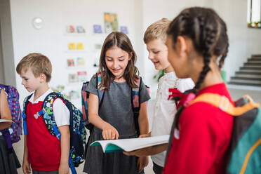 Eine Gruppe von fröhlichen kleinen Schulkindern mit Taschen, die im Korridor spazieren gehen und sich unterhalten. - HPIF24945