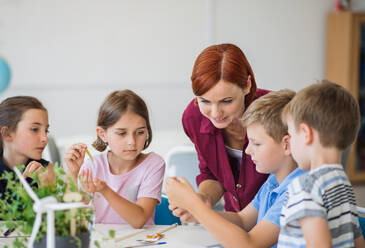 Eine Gruppe kleiner Schulkinder mit einem Lehrer, die im naturwissenschaftlichen Unterricht etwas über die Umwelt lernen. - HPIF24962