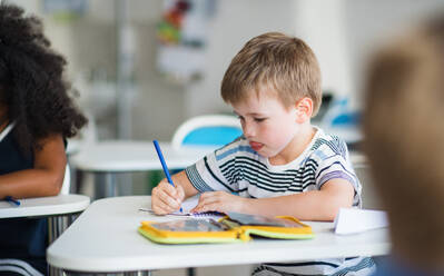 Ein kleiner glücklicher Schuljunge sitzt am Schreibtisch im Klassenzimmer und schreibt Notizen. - HPIF24970