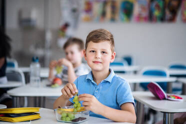 Ein kleiner glücklicher Schuljunge sitzt am Schreibtisch im Klassenzimmer und isst Weintrauben und Obst. - HPIF24996