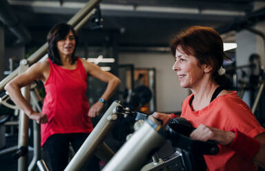 Zwei fröhliche ältere Frauen Freunde im Fitnessstudio tun Krafttraining Übung. - HPIF25024