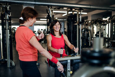 Two cheerful senior women friends in gym doing strength workout exercise. - HPIF25028