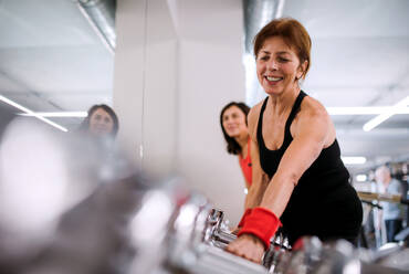 A group of cheerful female seniors in gym doing exercise with dumbbells. - HPIF25040