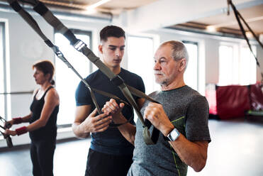 Eine Gruppe fröhlicher Senioren im Fitnessstudio mit einem jungen Personal Trainer, der Übungen mit TRX macht. - HPIF25068