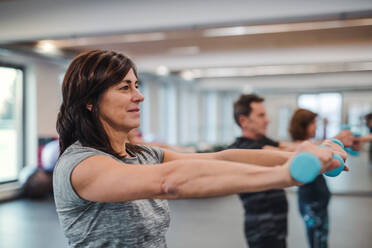 A group of cheerful seniors standing in gym doing exercise with dumbbells. - HPIF25084