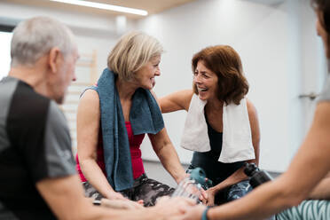 Eine Gruppe fröhlicher Senioren in einem Fitnessstudio, die sich nach einer Übung auf Fitbällen ausruhen und sich unterhalten. - HPIF25112