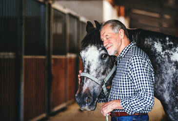 Ein glücklicher älterer Mann steht in der Nähe eines Pferdes in einem Stall und hält es. - HPIF25128