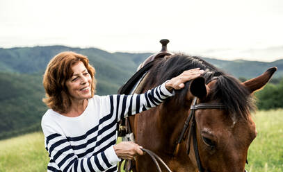 A happy senior woman holding a horse by his lead outdoors on a pasture. - HPIF25137