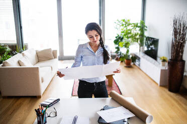 Porträt einer schönen Frau bei der Arbeit, Büro zu Hause. - HPIF25247