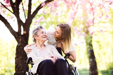 Ältere Großmutter im Rollstuhl mit einer erwachsenen Enkelin draußen in der Natur im Frühling. - HPIF25317