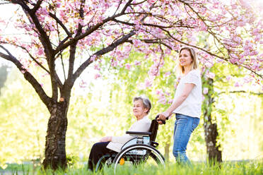 Ältere Großmutter im Rollstuhl mit einer erwachsenen Enkelin bei einem Spaziergang in der Natur im Frühling. - HPIF25318