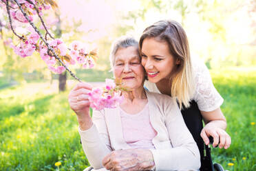 Elderly grandmother in wheelchair with an adult granddaughter outside in spring nature. - HPIF25321