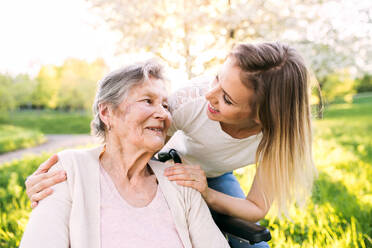 Elderly grandmother in wheelchair with an adult granddaughter outside in spring nature. - HPIF25331