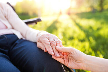 Unrecognizable granddaughter holding hand of an elderly grandmother in wheelchair in spring nature. - HPIF25334