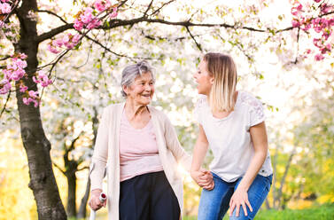 Ältere Großmutter mit Unterarmgehstütze und eine erwachsene Enkelin gehen draußen in der Natur spazieren. - HPIF25345