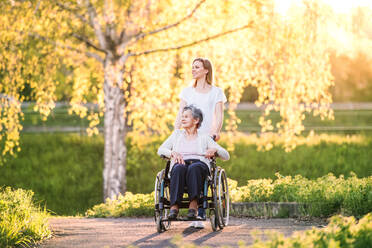 Ältere Großmutter im Rollstuhl mit einer erwachsenen Enkelin draußen in der Natur im Frühling. - HPIF25348