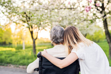 Ältere Großmutter im Rollstuhl mit einer erwachsenen Enkelin in der Natur im Frühling, Rückansicht. - HPIF25350