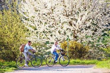 Schönes älteres Paar mit Fahrrädern draußen in der Natur im Frühling Radfahren unter blühenden Bäumen. - HPIF25361