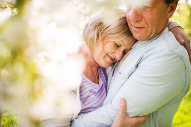 Beautiful senior couple in love outside in spring nature under blossoming trees, hugging. - HPIF25366