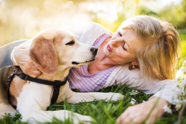 Beautiful senior woman with a dog lying down on a grass outside in spring nature. - HPIF25372