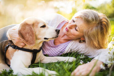 Schöne ältere Frau mit einem Hund liegt auf einer Wiese draußen im Frühling Natur. - HPIF25372