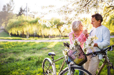 Schönes älteres Paar mit Fahrrädern draußen in der Frühlingsnatur unter blühenden Bäumen. Ein Mann und eine Frau in der Liebe. - HPIF25376
