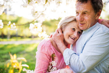 Beautiful senior couple in love outside in spring nature under blossoming trees, hugging. - HPIF25378