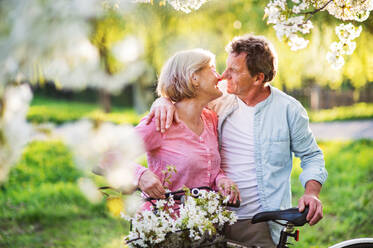 Beautiful senior couple with bicycles outside in spring nature under blossoming trees. Man and woman in love. - HPIF25380