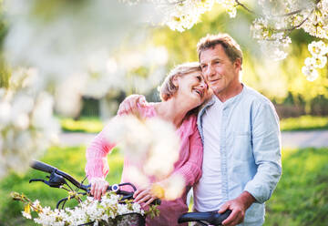 Beautiful senior couple with bicycles outside in spring nature under blossoming trees. - HPIF25381