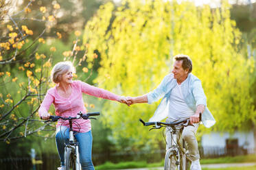 Beautiful senior couple with bicycles outside in spring nature cycling and holding hands. - HPIF25386