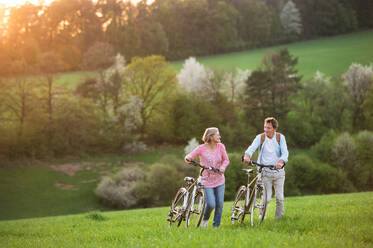 Beautiful senior couple outside in spring nature, standing with bicycles on grassland. - HPIF25397