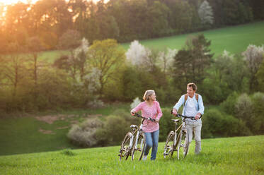 Schönes älteres Paar draußen in der Frühlingsnatur, stehend mit Fahrrädern auf einer Wiese. - HPIF25397