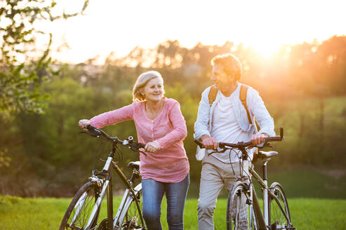 Beautiful senior couple outside in spring nature, walking with bicycles on grassland. - HPIF25398
