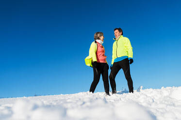 Älteres Paar, das sich in der winterlichen Natur im Schnee ausruht, Kopierraum. - HPIF25488