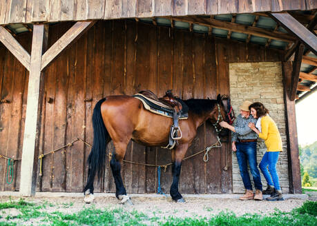 Ein älteres Ehepaar mit einem braunen Pferd steht vor einem Holzstall. - HPIF25494